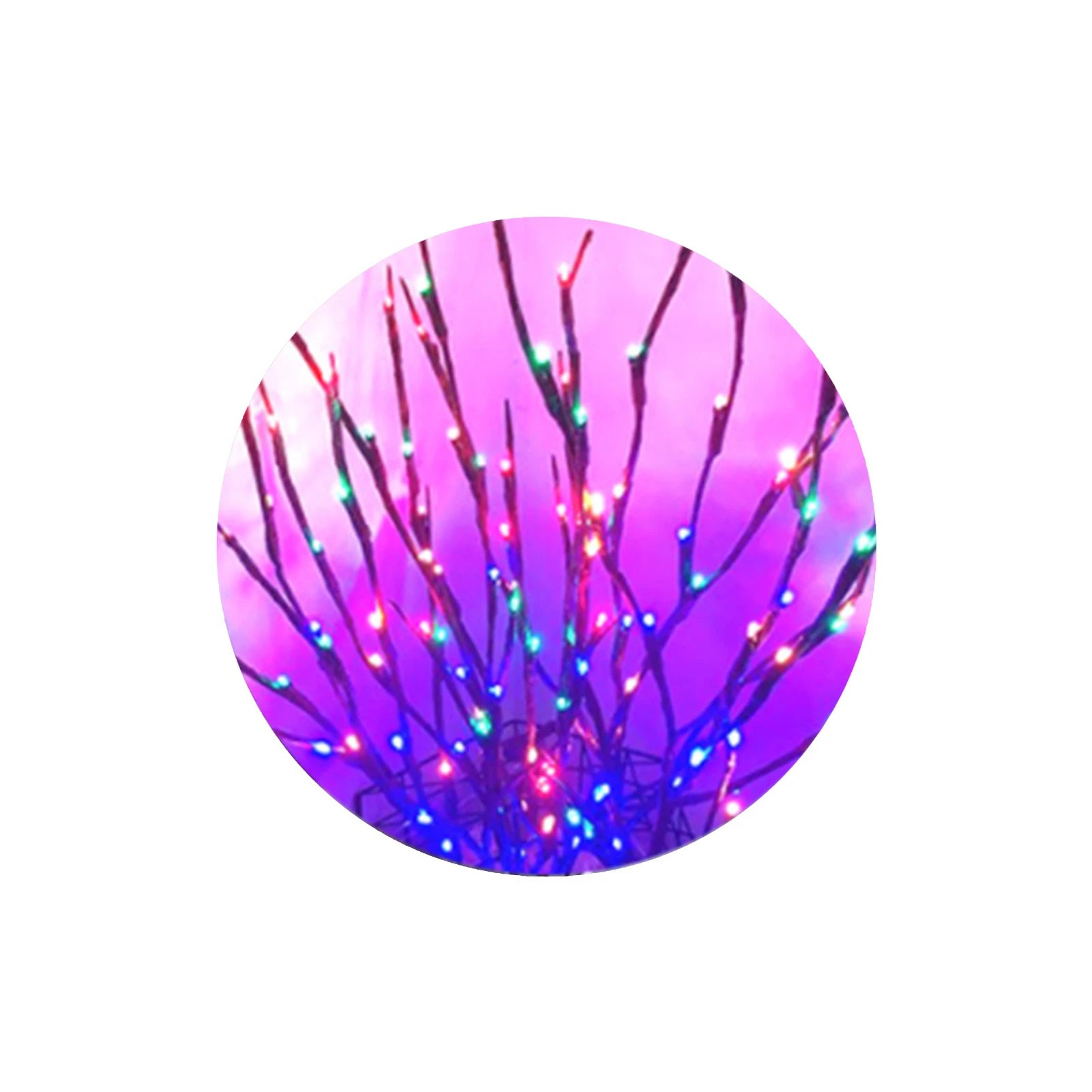 S439b7aaf369b404e8a24d43c8194a68bB