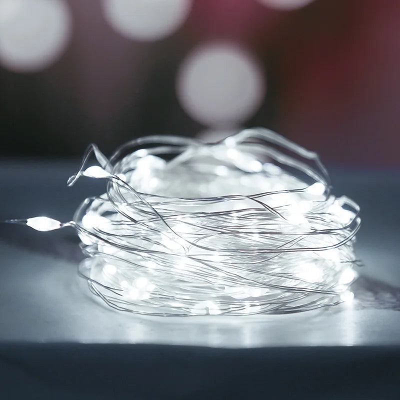 S466b9b3c20324757b213627bba2fe70er