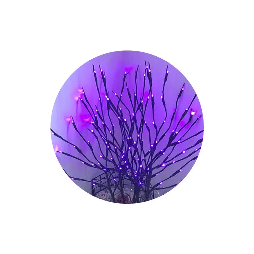 S776d1388c26648dd8917abfe3ac7bf5dy