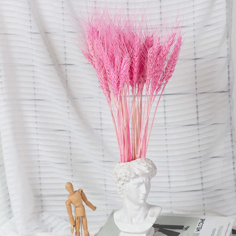 Saa6919d8d652447c807f2051b2253a96c