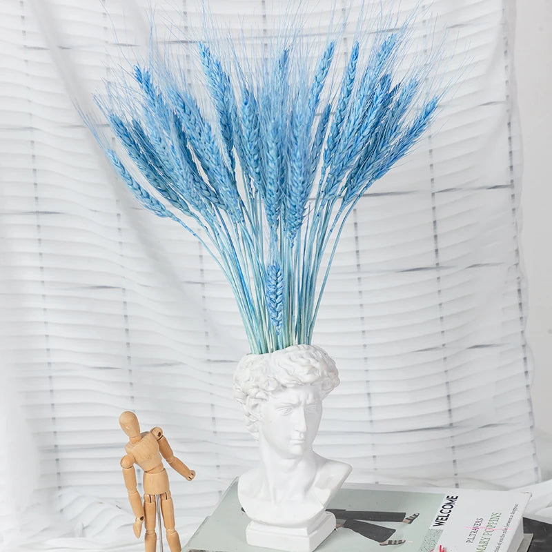 Sef23dba4ebb74d2d80b6b7b13583a3cfH